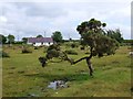 The view looking SSE from close to the Gors Fawr  stone circle in Mynachlogddu Community