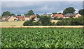 View across beet field to Mendlesham in Mendlesham