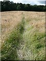 Footpath crossing partly mown field in S35 7BT