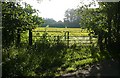 Field south of Bradley Court in RG18 9XZ