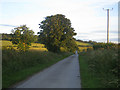 Farm road near Manor Farm in SP3 5QR
