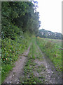 Farm track near Teffont Common in SP3 5QR