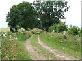 Farm track in PE32 2BZ
