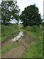 Muddy track in PE32 2BZ