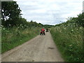 Quad bikers in PE32 2QZ
