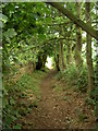 Bridleway between Haddon Wood and Burton in CH64 8TA
