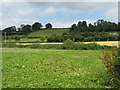 Hillside north of Bishop's Frome in WR6 5BW