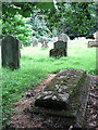 St Nicholas' church - churchyard in NR20 5LY