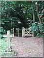 St Nicholas' church - path to Twyford Hall in NR20 5LY