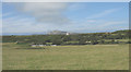 View north-westwards across pasture land in LL65 2YL