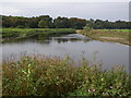 Calder Foot Pool, River Ribble in BB6 8BB