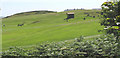 The Holyhead Golf Course, Trearddur Bay in LL65 2YL