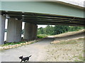 Public Footpath under the A1 Motorway Bridge in WF11 9NZ