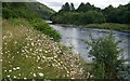 River Tay downstream from Dunkeld in PH8 0BA