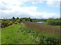 Footpath on eastern bank of the River Leven in G82 2BH