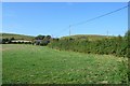 Field near Coryates in DT3 4ER