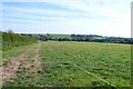 Countryside near Coryates in DT3 4ER