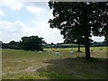 View across farmland towards Bromley in S35 7DE