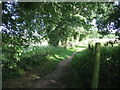 Footpath to Moorhams Copse in RG24 7AB
