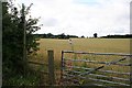Path through wheatfield near Whiteacres Brook in WR13 6PA