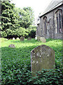 St Margaret's church - churchyard in Lyng