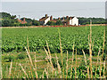 Houses beside the A1067 (Fakenham Road) in NR9 5PR