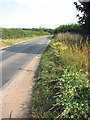 The Old Fakenham Road in NR9 5ST