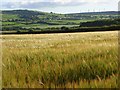 Barley, Boltongate in CA7 1AB