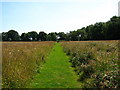Footpath across a meadow in BS40 5NQ