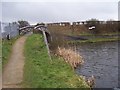 Anglesey Basin Bridge - Wyrley & Essington Canal, Anglesey Branch in WS8 6BG