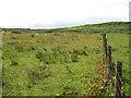 Fence and pasture in PH36 4LN