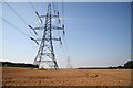 Pylons on Eagle Moor in Skellingthorpe & Eagle Ward