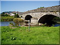 River Severn,Caersws road bridge. in SY17 5DX