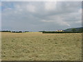 A view across a mown hayfield towards The Retreat in LL75 8UN