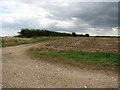 Farm track leading east in NR19 2JX