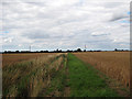 Between two fields of mature grain crops in IP25 7QH