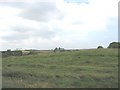 A ridge-top meadow in the process of being mown in LL77 7TA