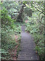 Boardwalk beside College Reservoir in TR10 9JE