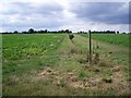 Footpath Near Carleton Rode in NR16 1RN