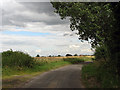 A rural view in IP25 7QF