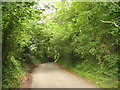 The tree-lined Bwlch road in Llanfair-Mathafarn-Eithaf Community