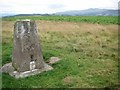 Trig point on Fforest Fach in LD3 8PU