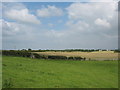 View eastwards towards harvested hayfields in LL75 8UN