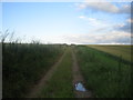 Bridleway near Lower Lawn House in SP3 6TY