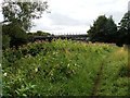 Disused railway bridge in WF4 5LD