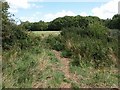 Path near Roselands estate in TQ4 7BD