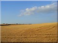 Harvested farmland, Haxton in SP4 9PU