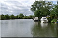 River Thames below Bablockhythe in OX29 5AP