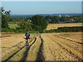 Bridleway through stubble, Cookham in SL6 9EE