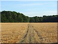 Footpath through stubble, Cookham in SL6 6PN